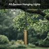 Ironsmith Lighting Products Starlight Outdoor Hanging Light Fixture - Solid