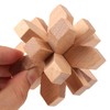 Holzsammlung Set of 9 Wooden Brain Teaser Puzzles, 3D IQ
