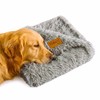 Fuzzl Cloud Comforter Blanket Premium Plush Pet Blanket for Dogs