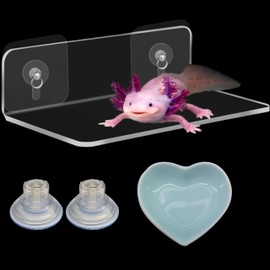 Axolotl Hammock Ledge for Aquarium and Feeding Dish, Axolotl Hammock with Ceramic Tray Feeder Bowl, Axolotls Accessories for Tank, Bearded Dragon Tank Accessories (Blue, 7.8x3.9in)