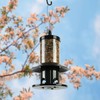 Squirrel Proof Bird Feeder - 360° Feeding Perch Tray for