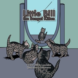 Little Bill The Bengal Kitten: the black smoke kitten