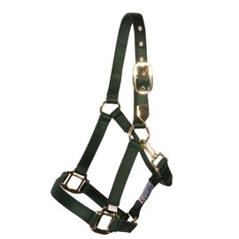 Dura-Tech Supreme Triple Ply Nylon Horse Halter with Brass Grommets | Custom Name Plate & Embroidery Option | Heavy-Duty Brass-Plated Hardware | Easy Adjustable Fit | Color Green | Full Size