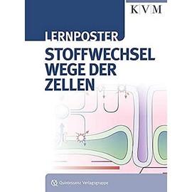Stoffwechselwege der Zellen (Lernposter)