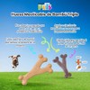 Fancy Pets Hueso Masticable GDE de Bambú Triple para Perro