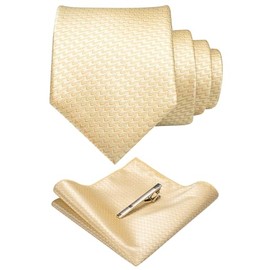 RBOCOTT Champagne Tie Woven Classic Formal Mens Necktie and Pocket Square with Tie Clip Set(180)