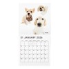 THE DOG 2026 Wall Calendar Large Size (All Star)