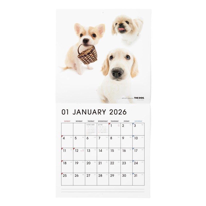 THE DOG 2026 Wall Calendar Large Size (All Star)
