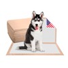 AbsorbEase® 30" x 36" Puppy Pads Pet Pee Pads for