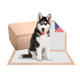 AbsorbEase® 30" x 36" Puppy Pads Pet Pee Pads for Dogs & Puppy Training Potty Pads - Quick-Dry Surface - Heavy Duty Absorbent Disposable Dog Wee Pad Bulk Pack ((25 Count 30" x 36" ))