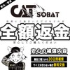 Catsobat Training Gloves, Muscle Training, Wrist Wrap, Wrist Fixation, Unisex,