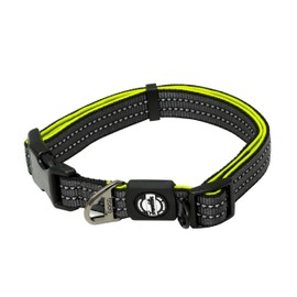 Nylon Dog Collar  Reflective  Franklin Pet Supply Co  Comfort Fit  Neoprene  Adjustable  Medium  Green                                                