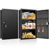 22.05" Tall Wall Safes Between the Studs with Removable Shelf,