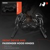 A-Premium Front Driver and Passenger Hood Hinges Compatible with Lexus