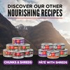 ORIJEN Premium Pate Wet Kitten Cat Food in Bone Broth