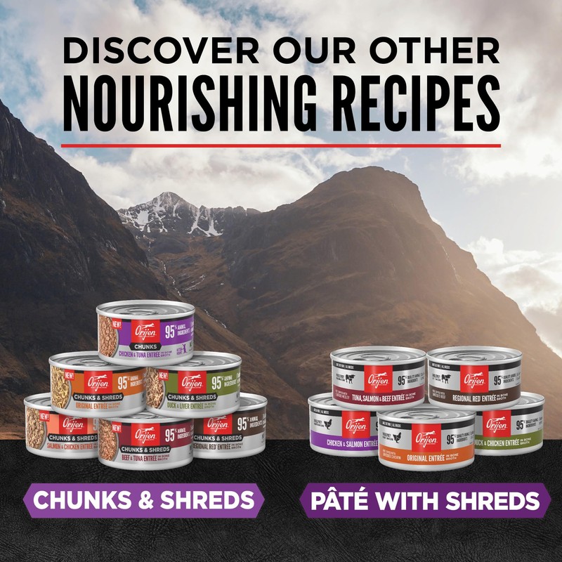 ORIJEN Premium Pate Wet Kitten Cat Food in Bone Broth
