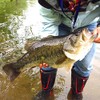 eeldog Offset Hooks Set for Bass Worm Soft Lures (3/0,