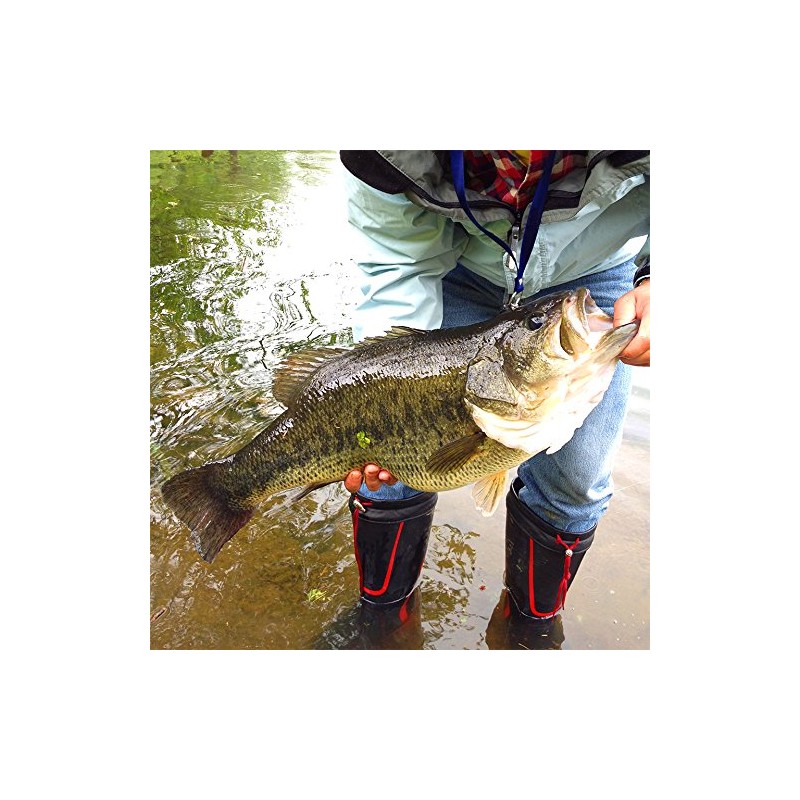 eeldog Offset Hooks Set for Bass Worm Soft Lures (3/0,