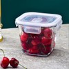 H.JSS WDJS 3.5Cup Glass Large Storage Container set, Glass Soup