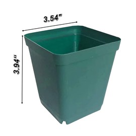 60-Pack 3.94"x3.94" Square Plastic Nursery Succulent Pots 4" Deep Flower Plant Nursery Seedling Grow Pots with Drainage (10cm Green)