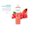 Shampoo Corporal Arándano, Piel Limpia Y Fresca Antioxidante