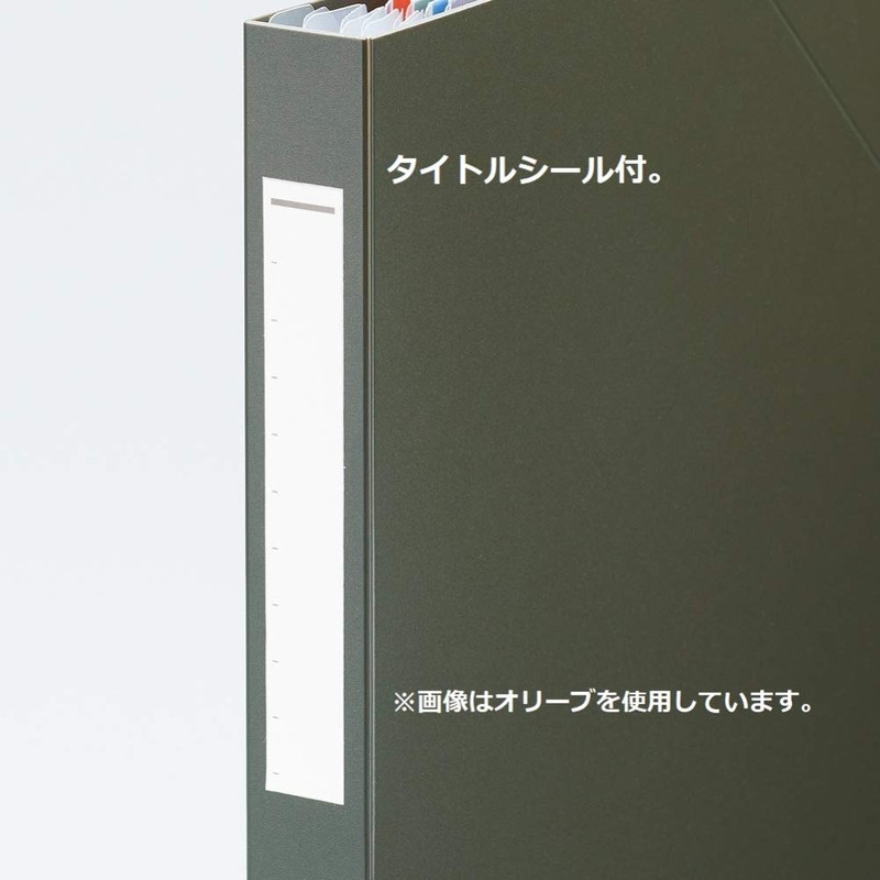Lihit Lab Document File Stand File A4 Olive F7771-22