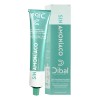 Tinte Para Cabello Dibal Sin Amoniaco 100gr Tonos A Elegir