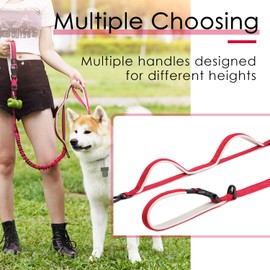ADVENTUREMORE Heavy Duty Dog Leash for Medium Large Dogs, 5 FT Long Dog Training Leash with Comfortable Padded Multi-Handle, Shock Absorption Safety Training Reflective Dog Leash with Poop Bag Holder