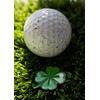 MULLIGAN HOOLIGAN Golf Ball Marker + Magnetic Hat Clip, Funny
