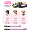 Weesiber Light Up Dog Collar, USB Rechargeable LED Dog Collar
