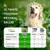 Polvo Limpiador De Dientes J Dog Powder Para Perros En
