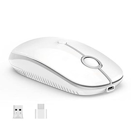 VssoPlor Type C Wireless Mouse, Dual Mode 2.4G Wireless Mouse USB C Cordless Mice with Nano USB and Type C Receiver Compatible with PC, Laptop, MacBook and All Type C Devices-White Silver