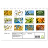 Mit Ginkgo biloba durch das Jahr (Wandkalender 2026 DIN A4