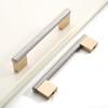 Coinkoly 10 Pack 3.75"(96mm) Gold and Brushed Satin Nickel Cabinet