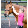 Parelli Horseman's Strong Lightweight Simple Knots Everyday Use UV Resistant