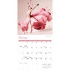 Carousel Calendars, Ballet 2026 Wall Calendar, 12.01'' X 12.01'', 16-Month