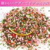 CHASO Diorama Powder Flower Field Meadow Nature Landscape Scenery Flower