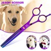 JASON Grooming Scissors for Dogs - Sharp Thinning Dog Shear
