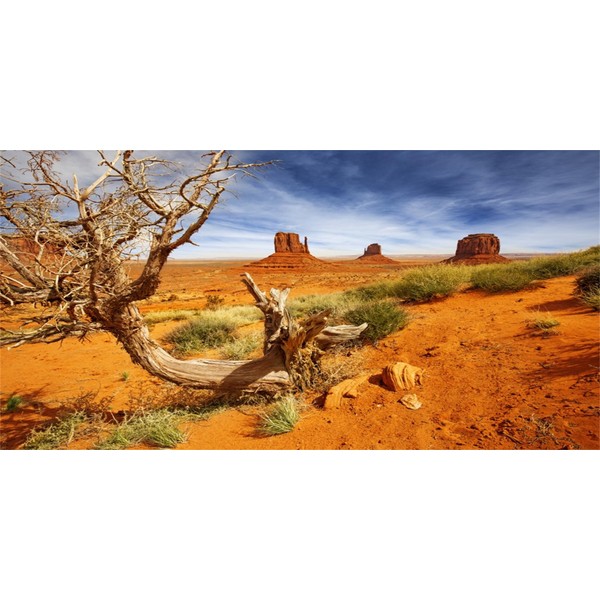 MIRRORANG 61 x 41 cm Reptile Habitat Background Orange Desert