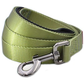 Otis and Claude Claude Nylon Dog Leash Small Terrarium Moss (Leash9)