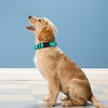 PWOD Reflective Dog Collar, Adjustable Soft Neoprene Padded Nylon Pet