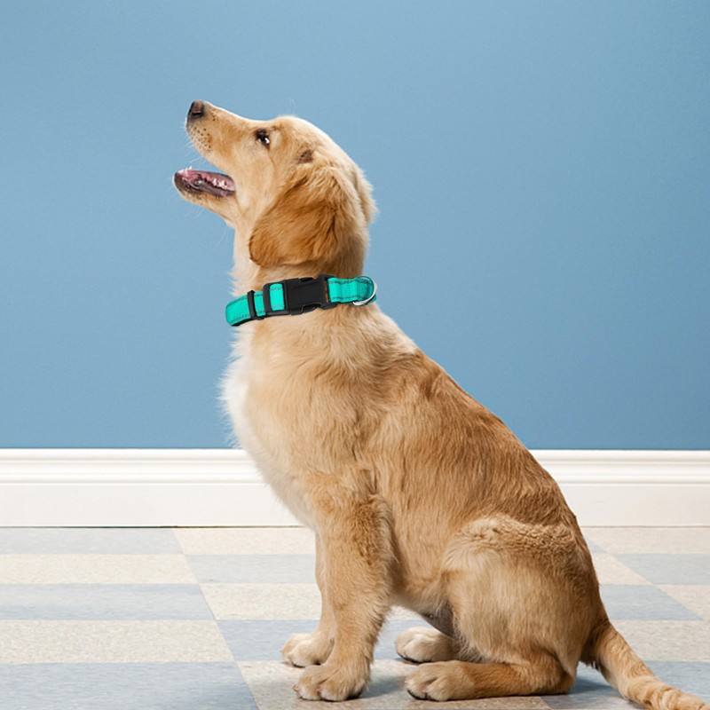 PWOD Reflective Dog Collar, Adjustable Soft Neoprene Padded Nylon Pet