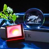 Enjinkail 3D Crystal Ball Sea Turtle Gifts for Women Men