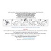 Temporary Wolf Tattoo Animal Tattoo Arm Tattoo XQB088x2 2 Sheets
