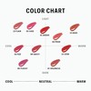 BRAYE [BRAYE]*mini* Lip Sleek (10 Colors)