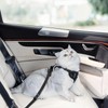 Cat Harness and Leash for Walking, Cat Car Harness, Soft