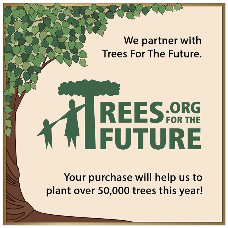 SJT ENTERPRISES, INC Yorkie 2.6" Absorbent Stone Car Coasters with