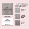 COLORCHARM Permanent Liquid Toners | Neutralize Brass | Free of