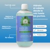 Shampoo Con Extracto De Cola De Caballo Productos Mart Mexico
