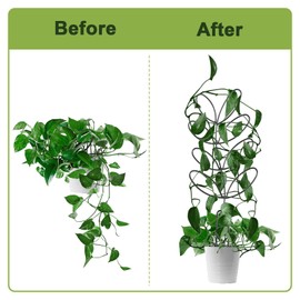 6Pack Indoor Plant Trellis Metal Wire Garden Trellis ，Small Climbing Leaf Shape Trellis, Plant Trellis for Pots, for Garden Potted Plant Houseplant(Black)